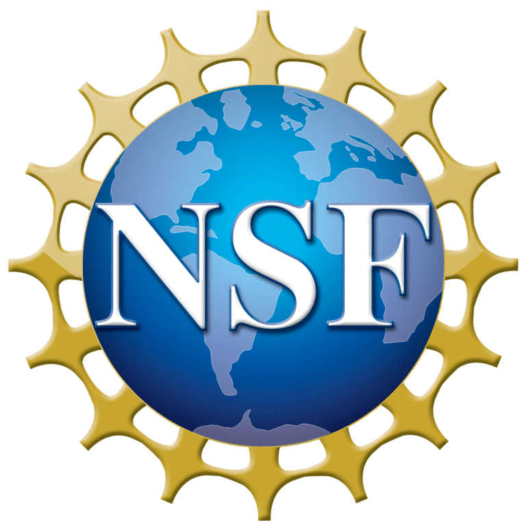 National Science Foundation Reports
