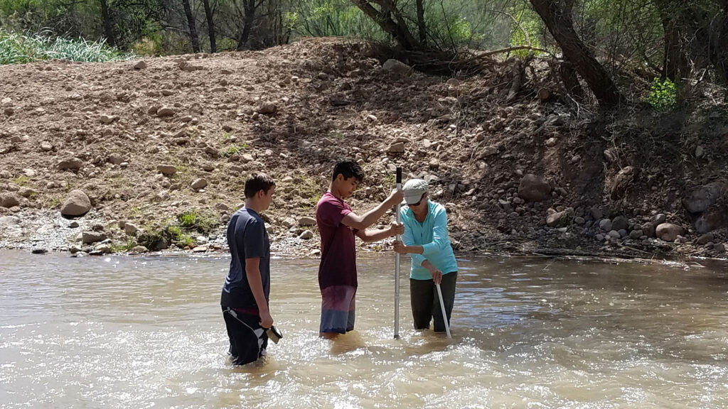 Invertebrate sampling in stream